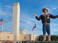 iShares Aims to Be Deep in the Heart of Texas