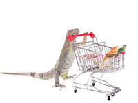 Buy on the Dip Prospects: April 9 Edition