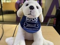Amid Tariff Concerns, SDOG Stands Out