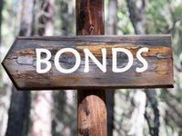 Harness Safety, Time Advantages of Bonds With This ETF