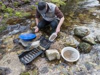 Gold Miners Have Buy-the-Dip Opportunities