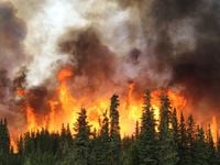 How Wildfires Impact Canadian Midstream Operations