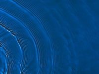 Gundlach: Avoid Illiquid Assets in Liquid Vehicles