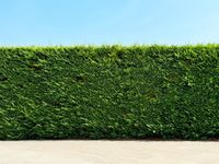 Why Hedged Strategies Matter in Volatile Markets