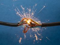 Wire to Wire in the First Half of 2025