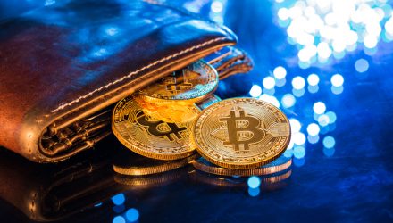 Big Bitcoin Wallet Numbers Rising