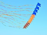 Exploring Key Tailwinds for Fidelity's Disruptive ETFs
