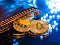 Big Bitcoin Wallet Numbers on the Rise