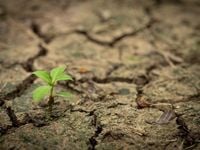Notes from the Desk: Resilient Labor, Resilient Valuations