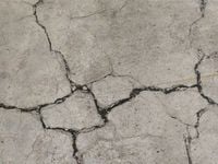 Mind the Cracks: Invest for Uncertainty With CSHI