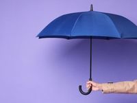 Tech Participation & Protection Together