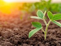 The Growth ETF Showing the Power of Active