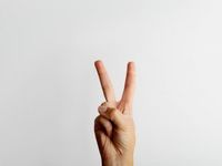 Diversify Your Income Portfolio With These 2 Equity ETFs