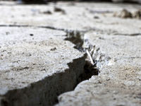 Cracks in the Consensus: Testing the Fed’s Unity