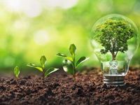 TDVG Offers Durable Upside