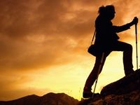 Inside the Quiet Ascent of a Natural Resources ETF