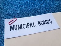 2 ETF Options as Munis Offer Insulation From Tariff Contagion