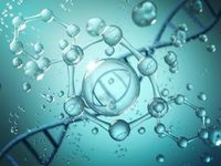 Is Biotech the Right Tech ETF Move Right Now - SBIO Argues Yes