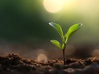 Single, Ready to Mingle: These ETFs Continue to Sprout