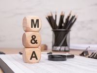 Tariffs Take a Temporary Toll on Private Equity M&As