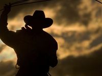 Midyear Sector Roundup: AI Enthusiasm Drives Returns