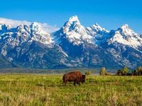 Labor Market Weakness & the Jackson Hole Rally