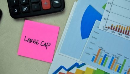 VFLO's Distinct U.S. Large-Cap Approach