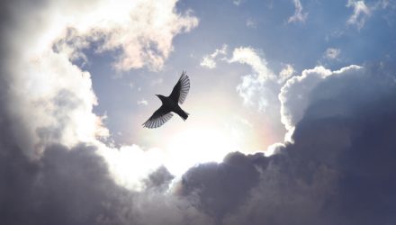 Crypto Miners Spread Their Wings