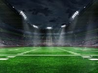 Sports Could Be Big Frontier of AI Adoption