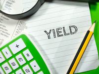 Vanguard Bolsters Active ETF Lineup With High Yield Fund