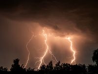 Electrifying Stocks to Watch in ELFY