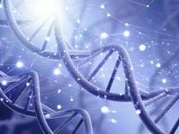 RNAi: The Benefits of Shooting the Messenger