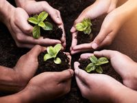 Different ETF Ways to Ride Outperformance