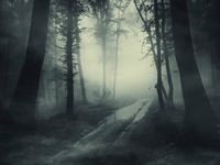 Macro Fog Deepens, Bitcoin Holds the High Ground