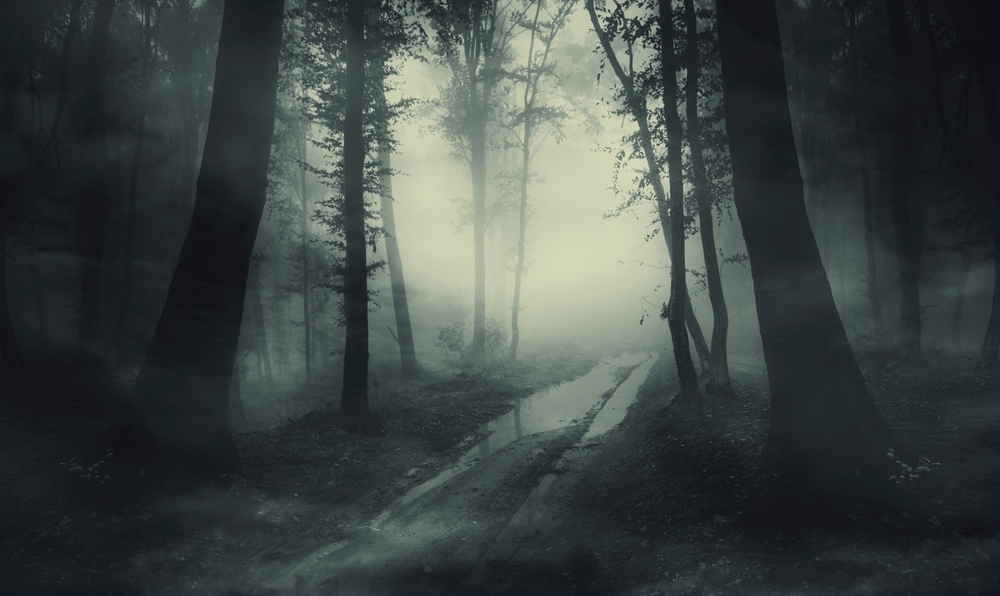 Macro Fog Deepens, Bitcoin Holds the High Ground