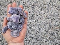 Tech Innovation Breeds Opportunities in Natural Resources