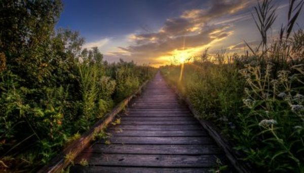 Autocallables Offer Path to Equity Income