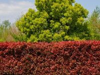 Asset Allocation Bi-Weekly – The Debasement Hedge: A Tale of Two
