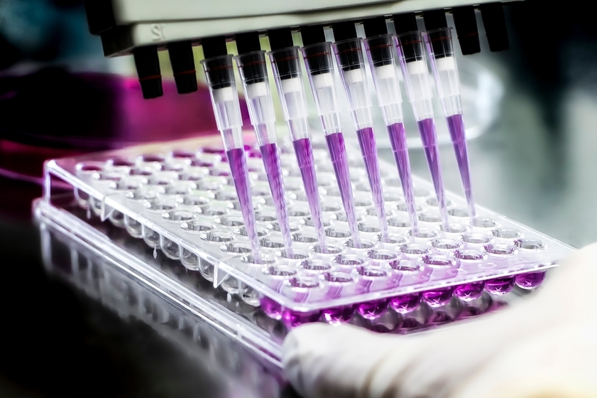 Are Biotech ETFs Poised for a Surge? This Stock May Hold the Key
