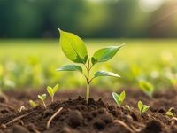Do You Really Know What Your Growth ETF Owns?