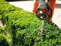 Tariff Turmoil Calls for a Hedged Equity Approach