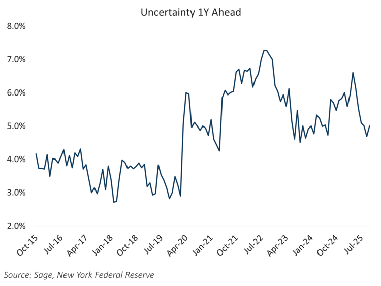 uncertainty one year ahead