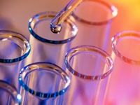 New FDA Director Could Sway Biotech ETFs