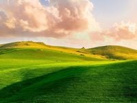 AI: There's Silicon in Them Hills