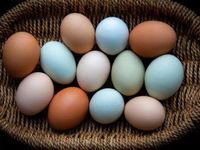 Resilient Markets Require a Diversified Approach