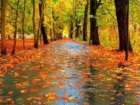 Bubble Fears Didn't Stop November Inflows Into SOXL