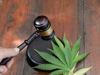 Marijuana ETFs Watch Supreme Court