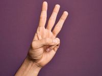 Emerging Markets ETFs on the Rise: 3 Stocks Driving EM Forward