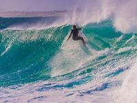 2026 Outlook Summary: Riding the Wave