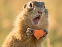 2025's Surprising Top Ex-U.S. Equities Regions